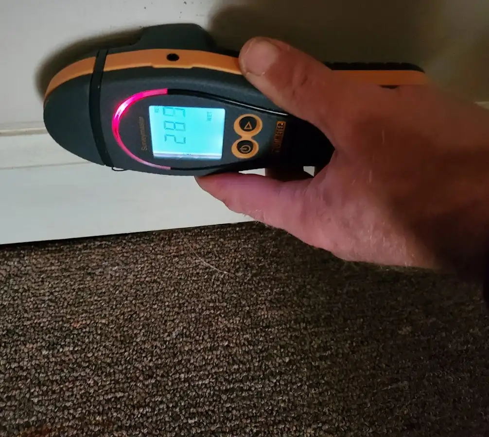 Moisture detection at baseboard during Sewage Cleanup & Sanitation in Tuttle